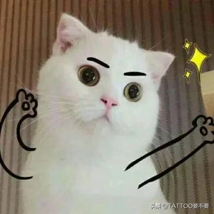 白色纹身 | 隐秘而低调的美
