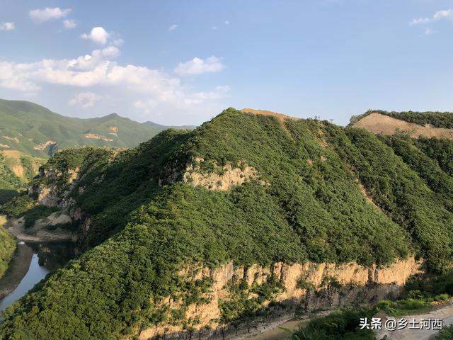 纹身有啥讲究？老话说“龙上肩压断腰，虎下山会伤人”，啥意思？